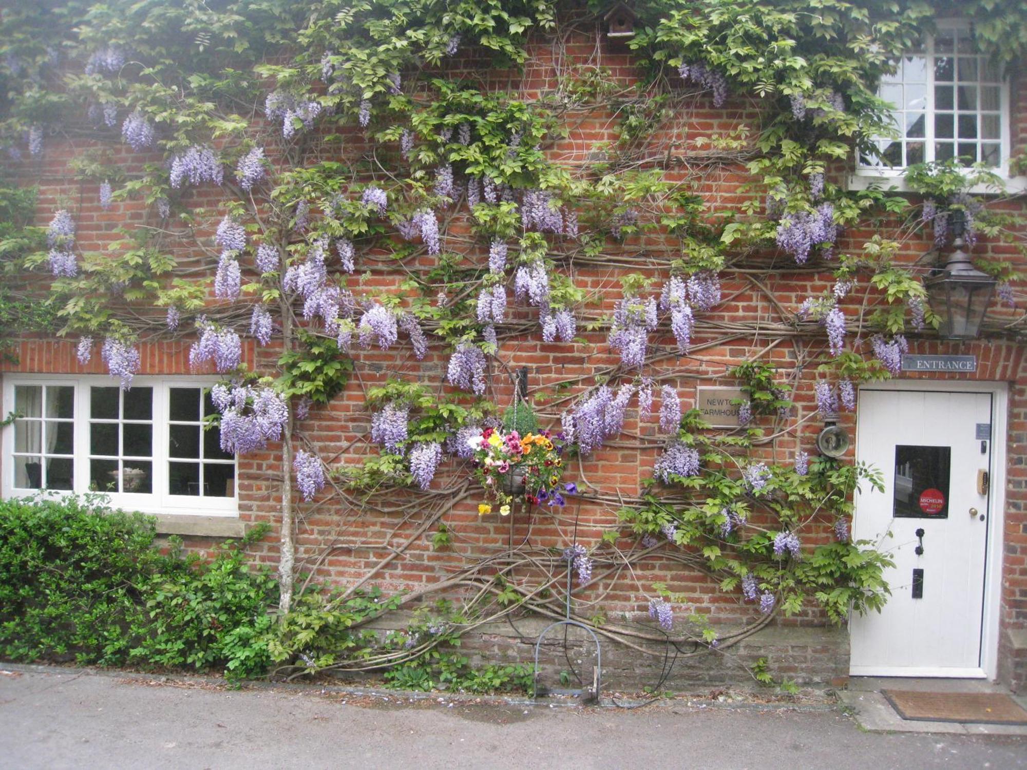 Newton Farmhouse Whiteparish Exteriér fotografie